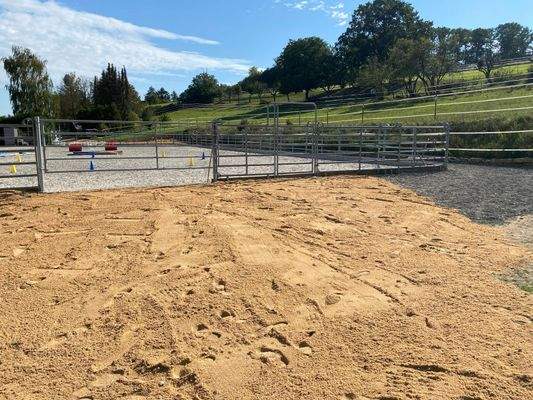 WhatsApp Image 2025-12-16 at 11.01.04-10.jpeg