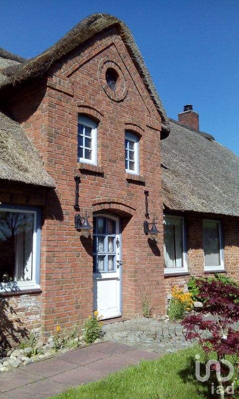 Hattstedtermarsch Häuser, Hattstedtermarsch Haus kaufen
