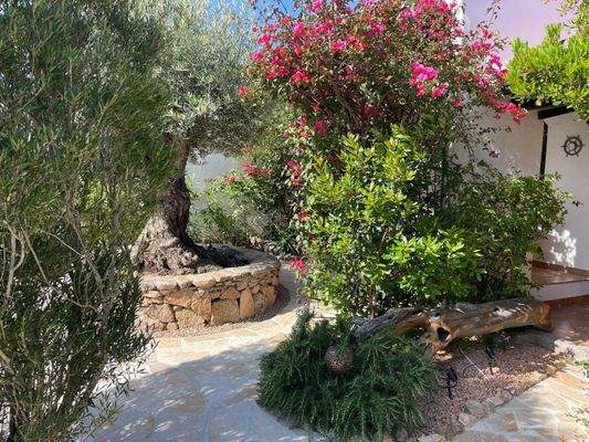 WhatsApp Bild 2025-10-05 um 19.52.30_1f514479.jpg