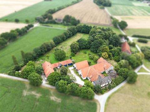 Borgholzhausen Häuser, Borgholzhausen Haus kaufen