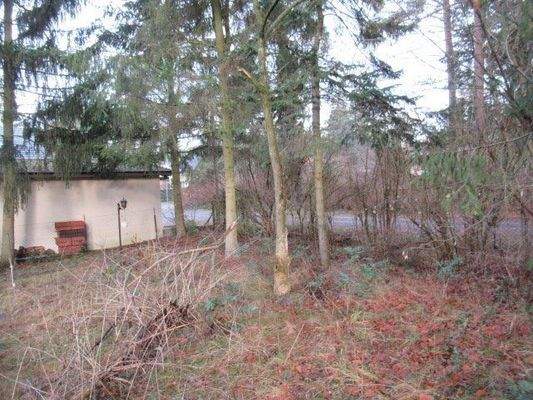 Blick zur Straße_1.JPG