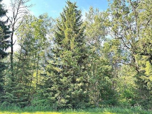 20250625_073728772_iOS