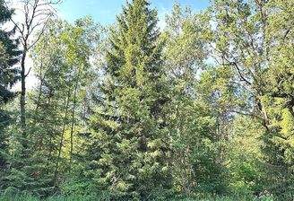 20250625_073728772_iOS