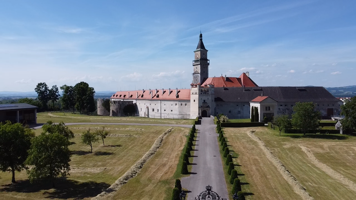 Schloss Wallsee Flugaufnahme