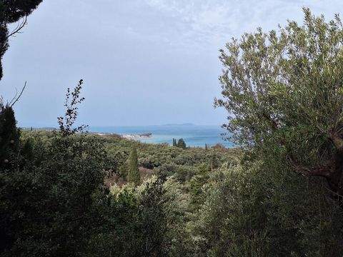 Korfu Bauernhöfe, Landwirtschaft, Korfu Forstwirtschaft