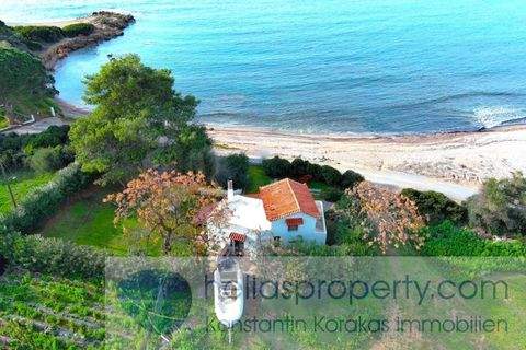 Kyparissia Häuser, Kyparissia Haus kaufen