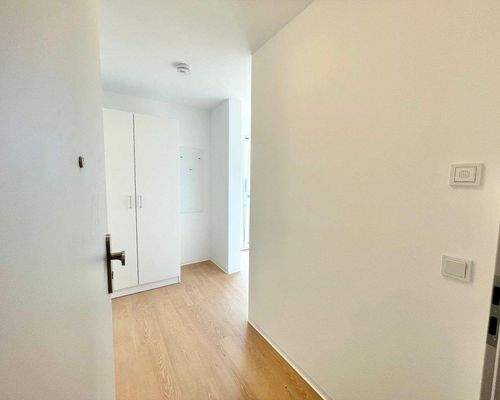 Eingang zum Apartment + Flur