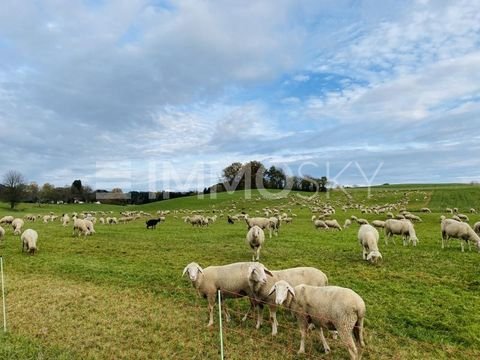 Horgau Grundstücke, Horgau Grundstück kaufen