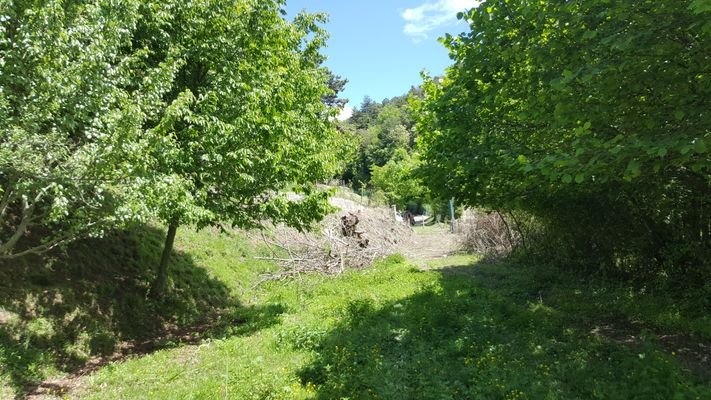 Baugrund in Campi