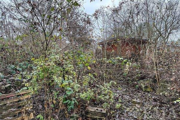 Blick auf das Grundstück