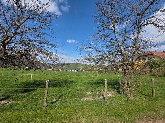 Bauland Wiersdorf.jpg