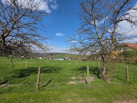Wiersdorf Grundstücke, Wiersdorf Grundstück kaufen