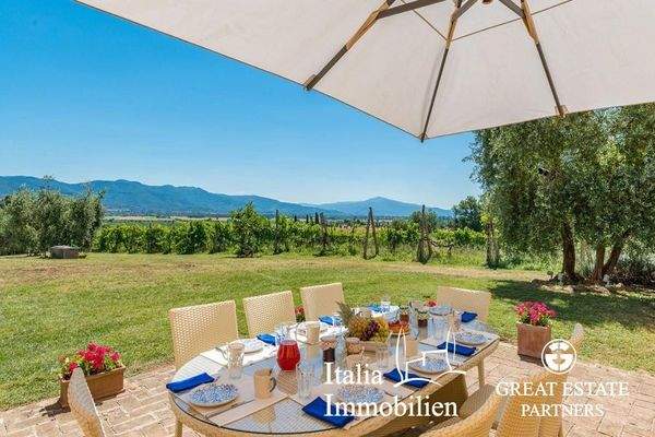 Schöne helle Villa in herrlicher Lage mit Türmchen, Pool, Weinberg und Olivenhain