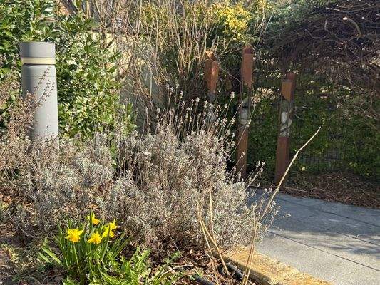 41_Detail Garten (1)