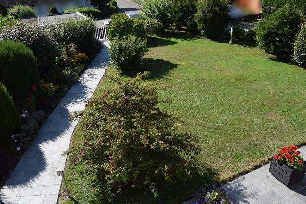 Aussicht auf den Garten