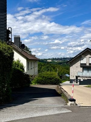 Ausblick 