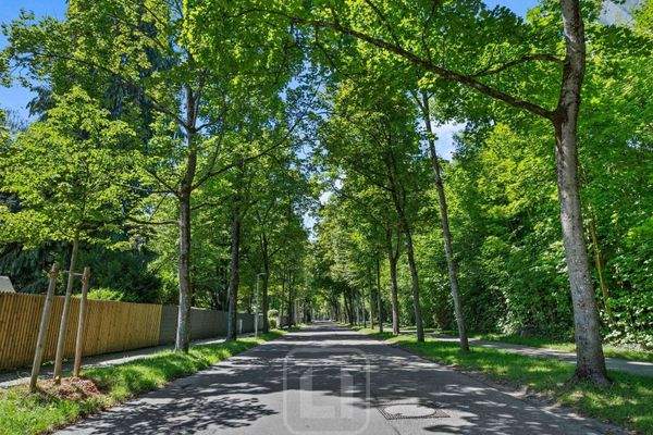 Nahegelegener Salonwald 