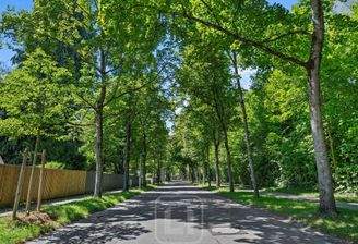 Nahegelegener Salonwald 