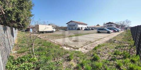 Edling Halle, Edling Hallenfläche