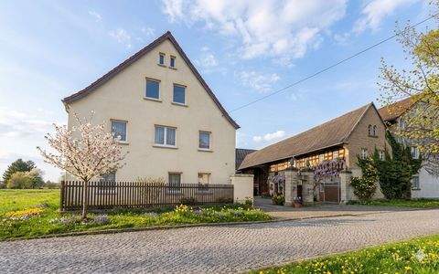 Elsteraue Häuser, Elsteraue Haus kaufen