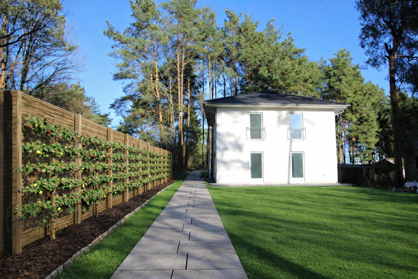 KI unterstützte Bildbearbeitung