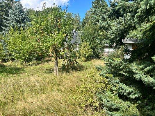 Garten mit diversen Obstbäumen