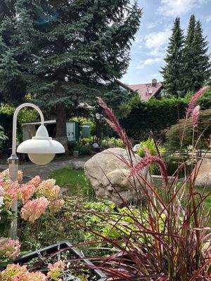 Grundstück im Sommer