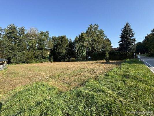 Immobilien-Eggenfelden-Titelbild