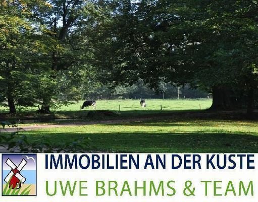 Bild1