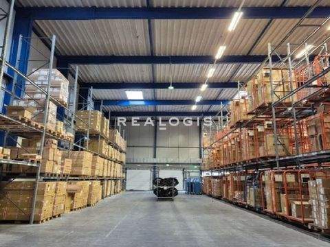 Hiddenhausen Halle, Hiddenhausen Hallenfläche