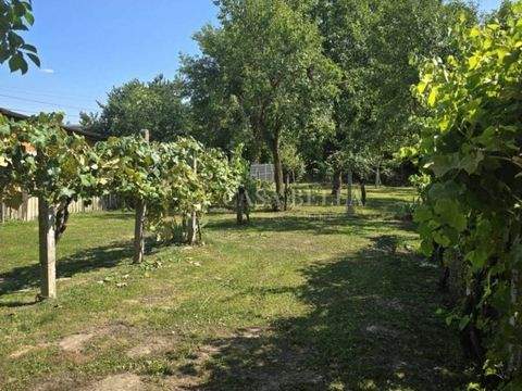 Staro Brestje Häuser, Staro Brestje Haus kaufen