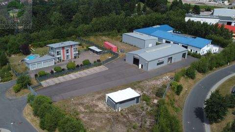 Zella-Mehlis Halle, Zella-Mehlis Hallenfläche