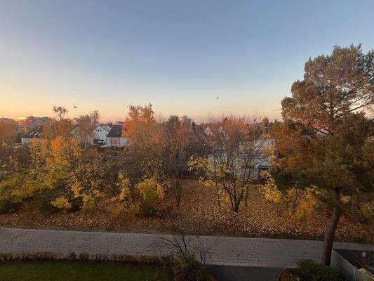 Blick in die Umgebung