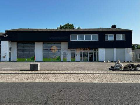 Mülheim-Kärlich Halle, Mülheim-Kärlich Hallenfläche