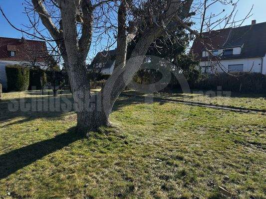 Grundstück / Garten