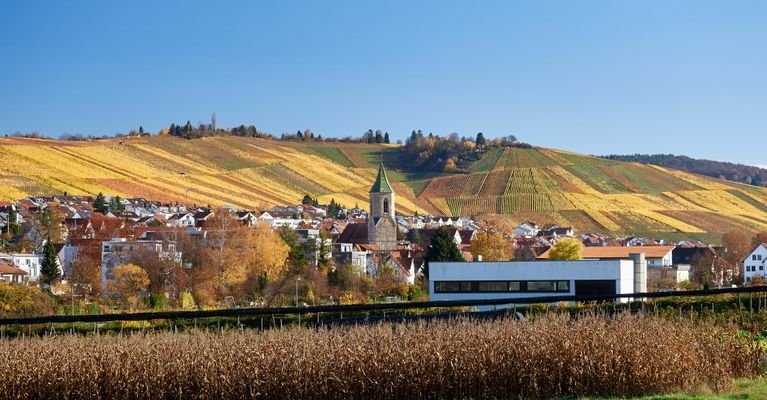 Blick auf Weinstadt