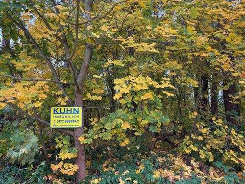 Wendisch Rietz Grundstücke, Wendisch Rietz Grundstück kaufen