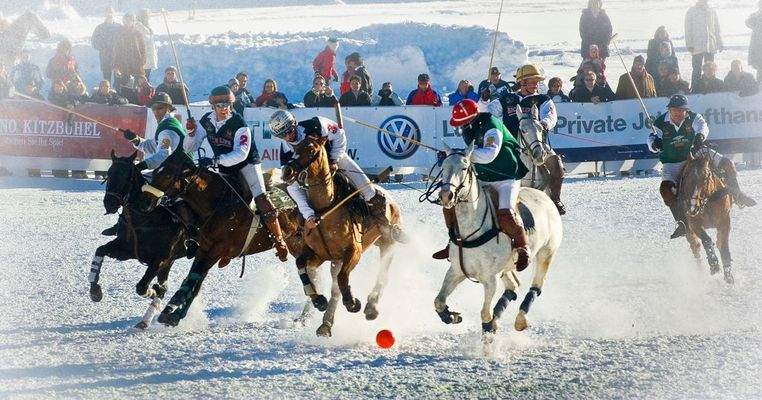 7-POLOKITZ©AlbinNiederstrasser-1-1 Kopie