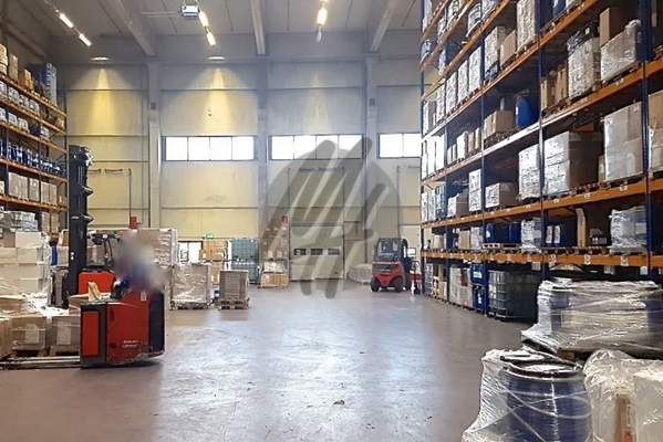 INFOS UNTER: 06171-586000