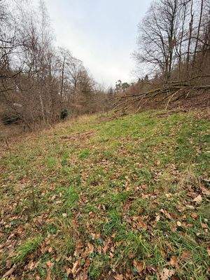 WhatsApp Image 2026-01-05 at 15.45.44 (12).jpeg