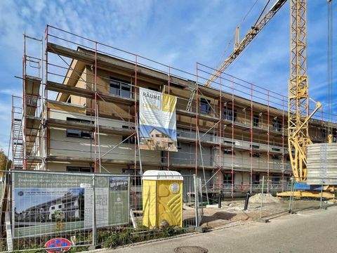 Binzen Wohnungen, Binzen Wohnung mieten