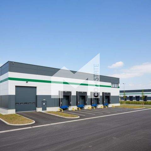 Meerbusch Halle, Meerbusch Hallenfläche