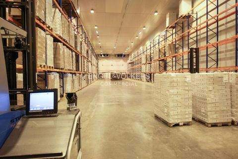 Wildau Halle, Wildau Hallenfläche