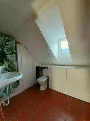 WhatsApp Image 2022-12-19 at 10.08.48