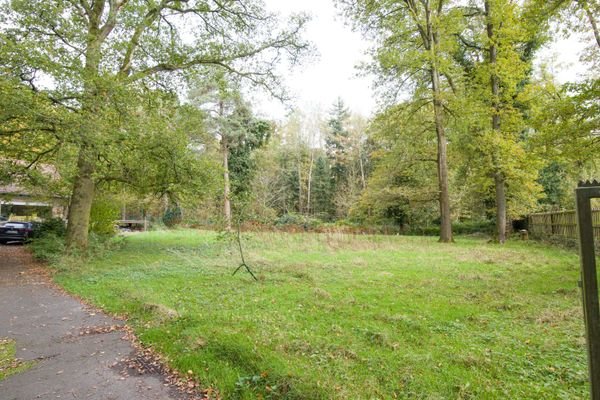 Garten Ansicht 1