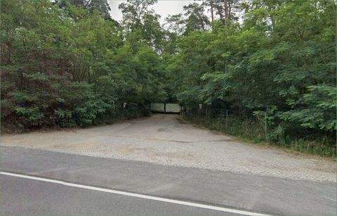 Eggersdorf bei Müncheberg Bauernhöfe, Landwirtschaft, Eggersdorf bei Müncheberg Forstwirtschaft