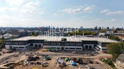 Düsseldorf Halle, Düsseldorf Hallenfläche