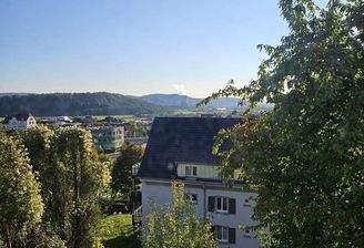 Aussicht über Waldshut 