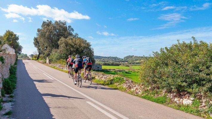 Rustikales Grundstück zum Verkauf in Muro, Mallorca