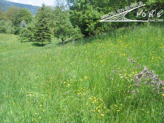 -Bad-Überk.Flur 220-4=3.245 m²Hinter dem Weiler 2 